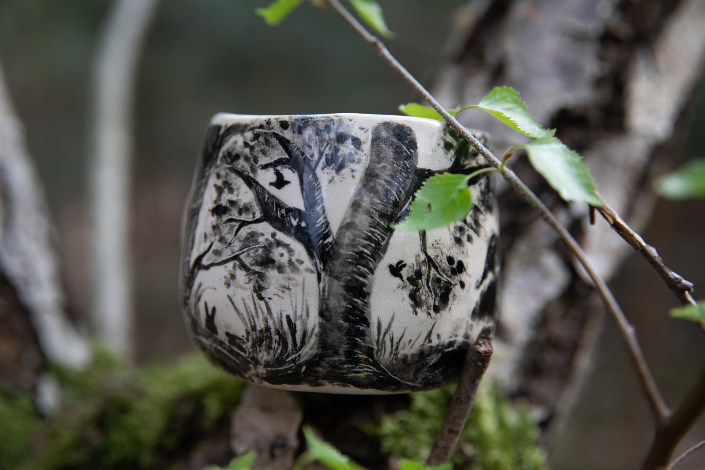 Forest stories cup
