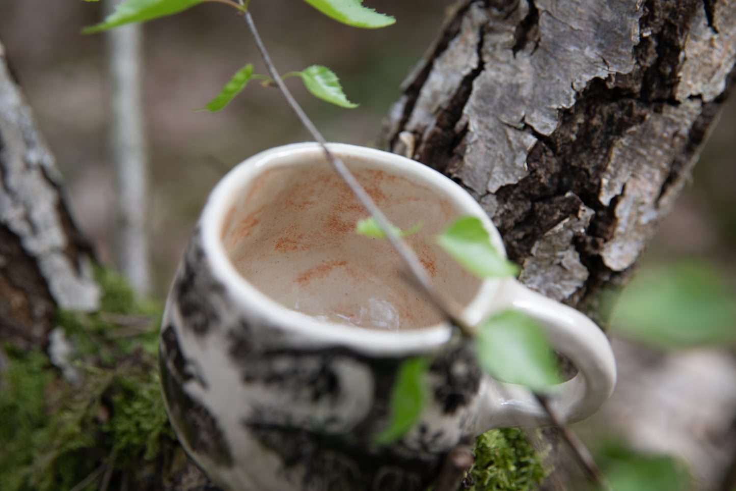 Forest stories cup