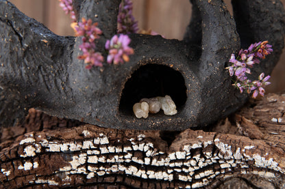 Fox totem, candle holder, incense sticks, resins, cones, palo santo holder, dry flower vase